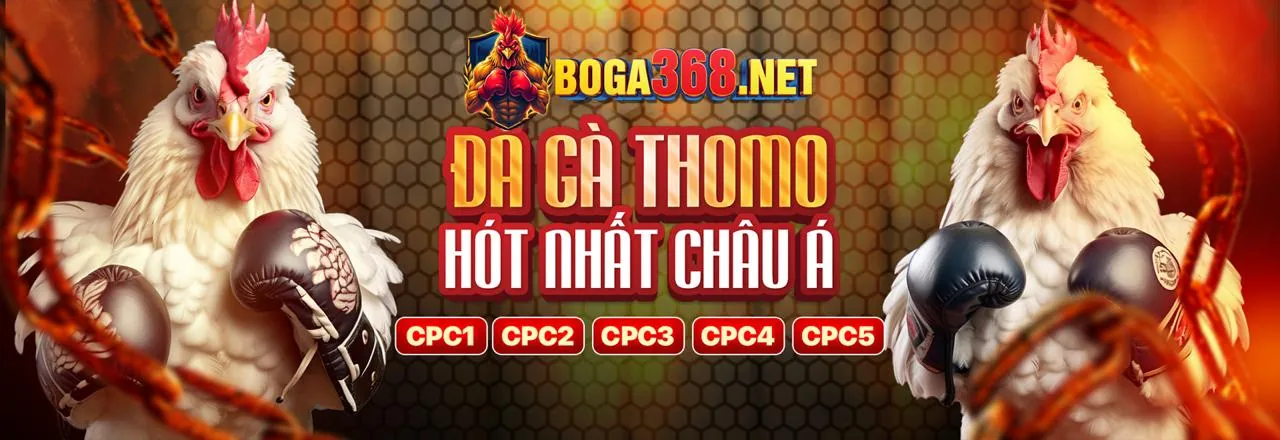 Đá Gà Trực Tuyến jn88 Đầy Kịch Tính