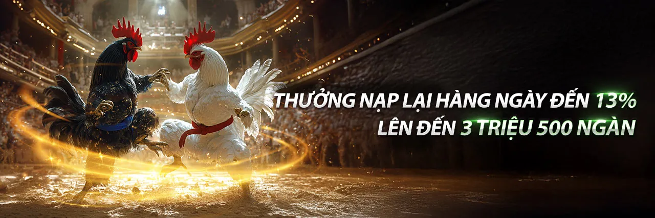 Hình ảnh giới thiệu jn88