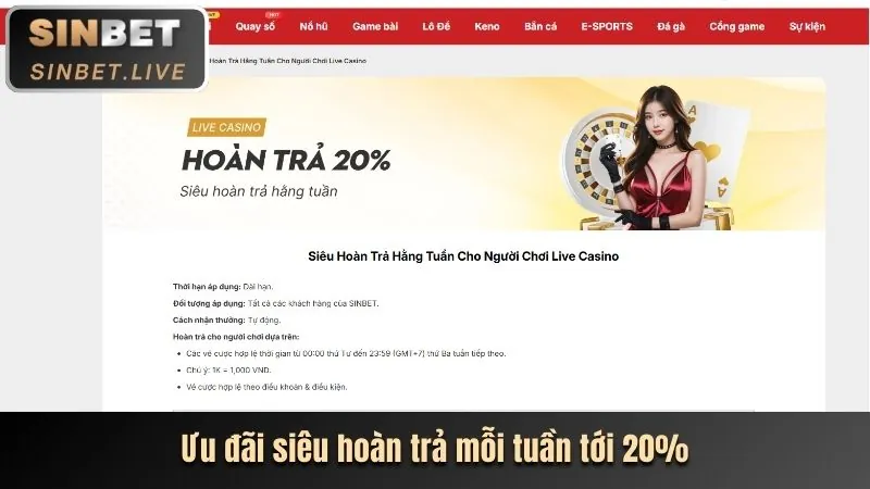 Tiền thưởng nạp lại hàng ngày tại BK8 Casino